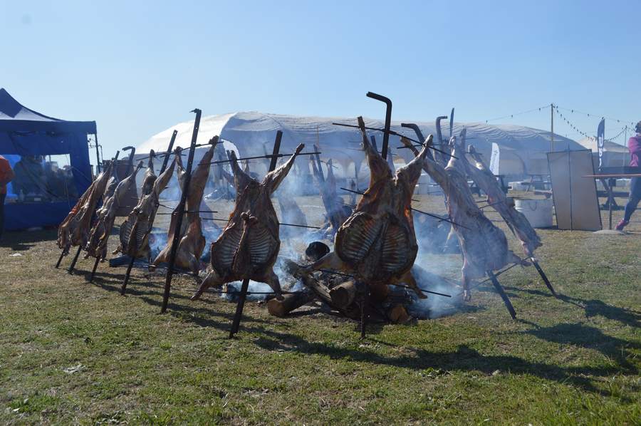 Slideshow Image 3